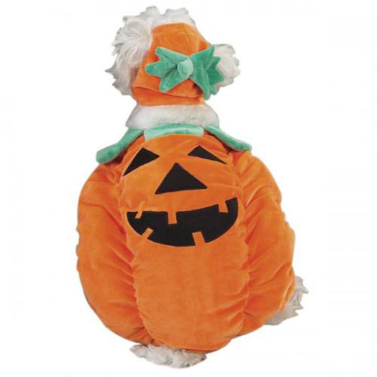 Zack & Zoey Pumpkin Pooch Costume – Cute Halloween Dog Outfit