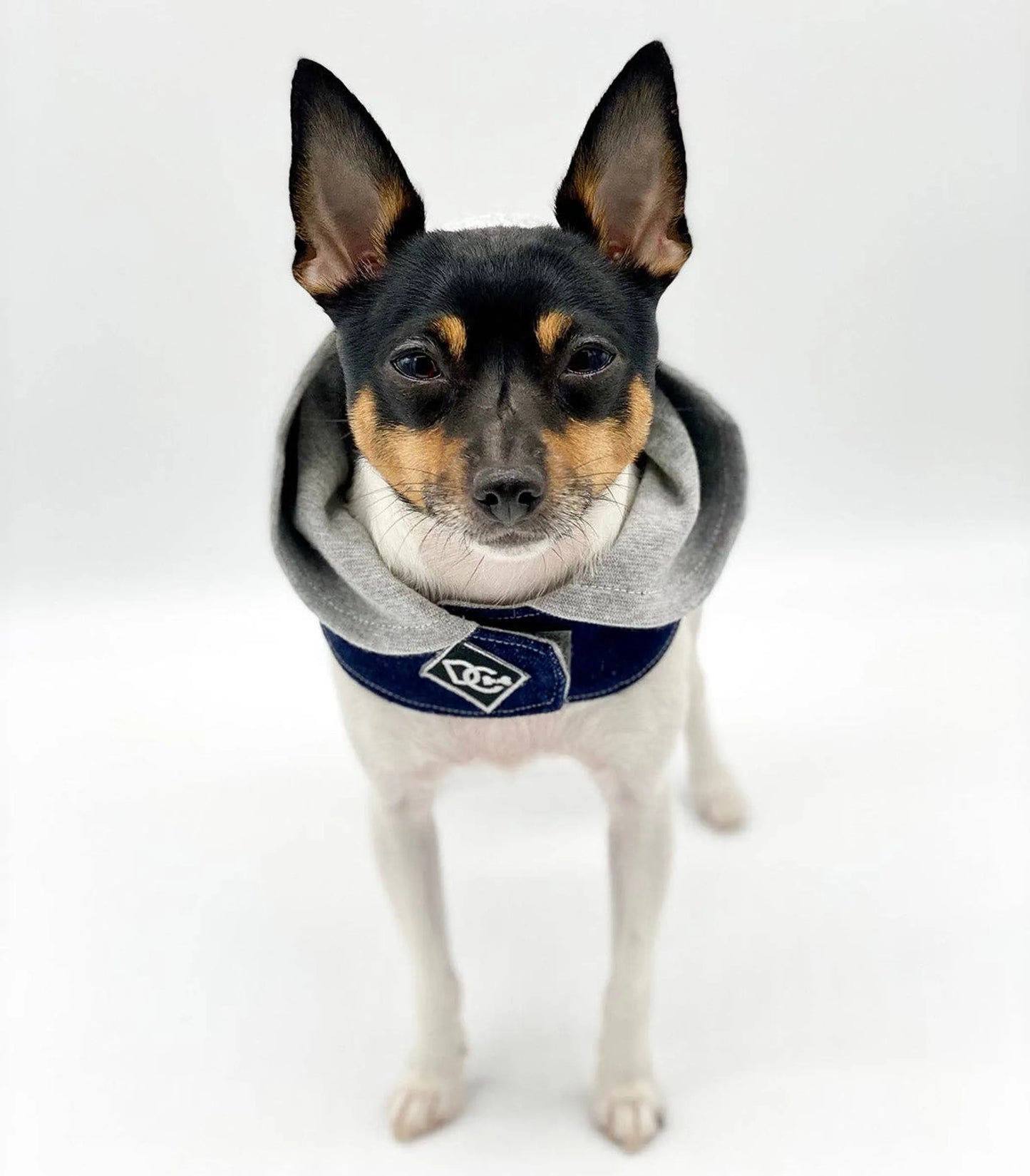 Denim Hoodie Love Harness Vest – Stylish Dog Harness & Jacket